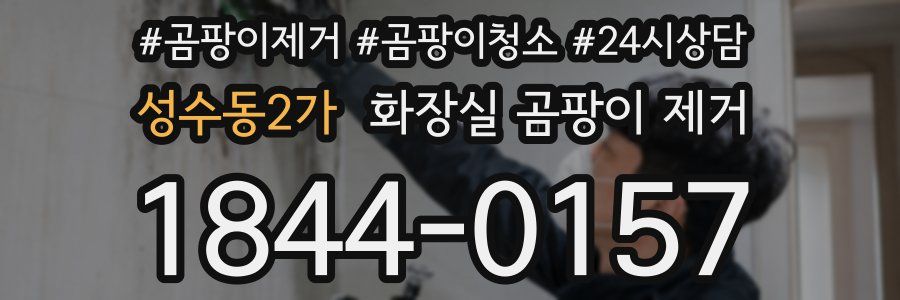 성수동2가 화장실 곰팡이 제거