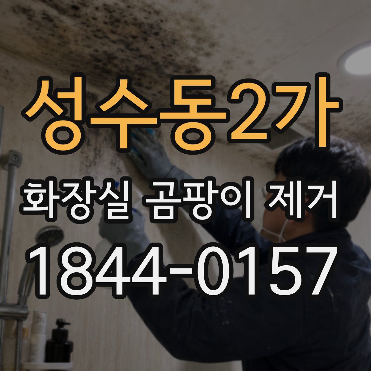 성수동2가 화장실 곰팡이 제거