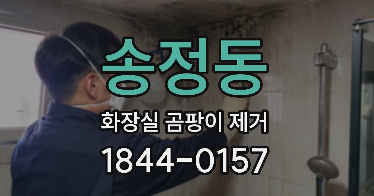 송정동 화장실 곰팡이 제거