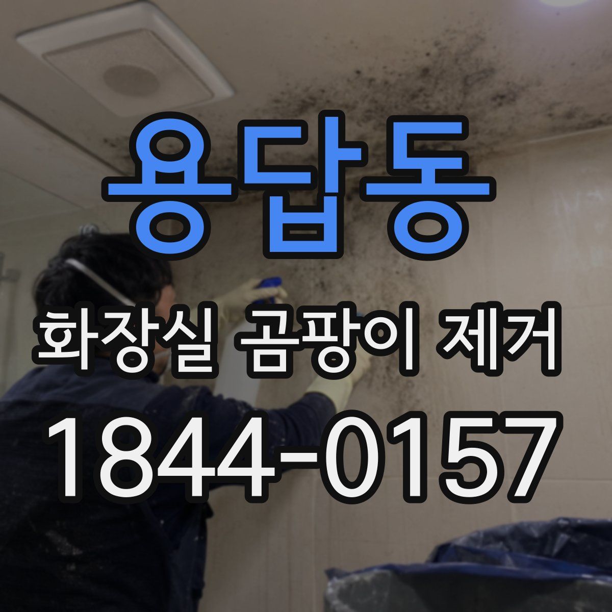 용답동 화장실 곰팡이 제거
