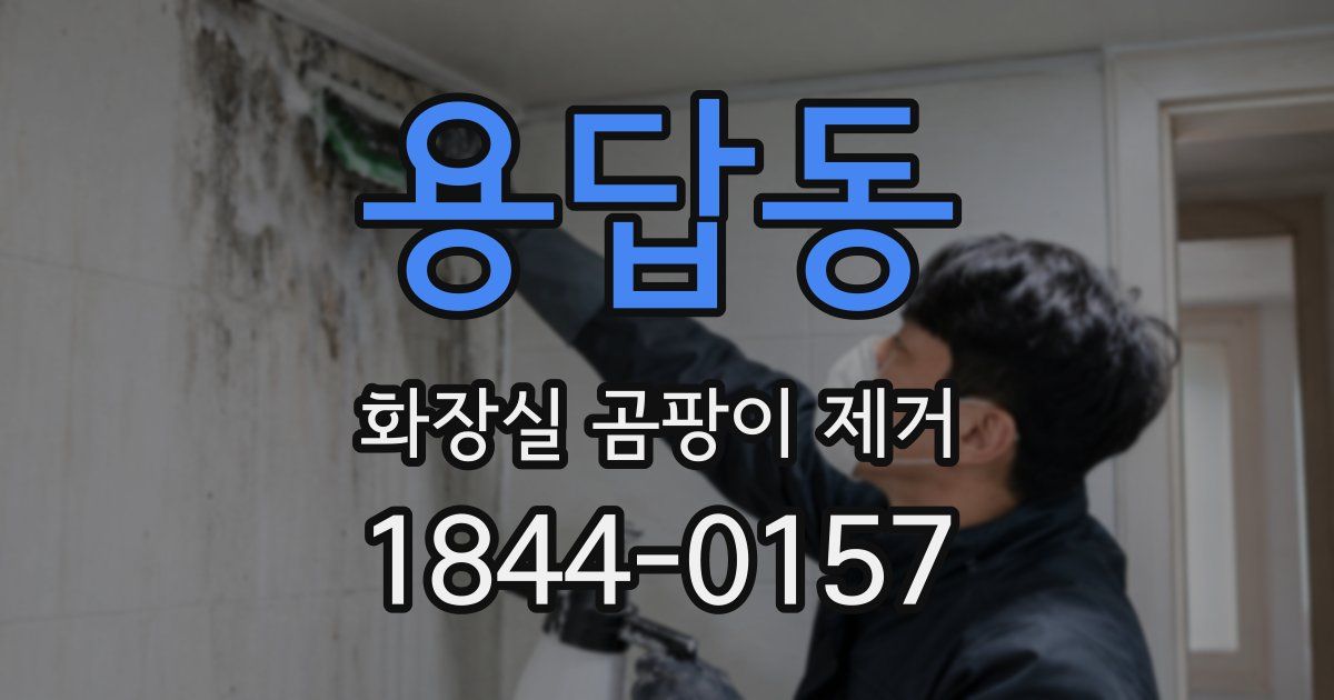 용답동 화장실 곰팡이 제거