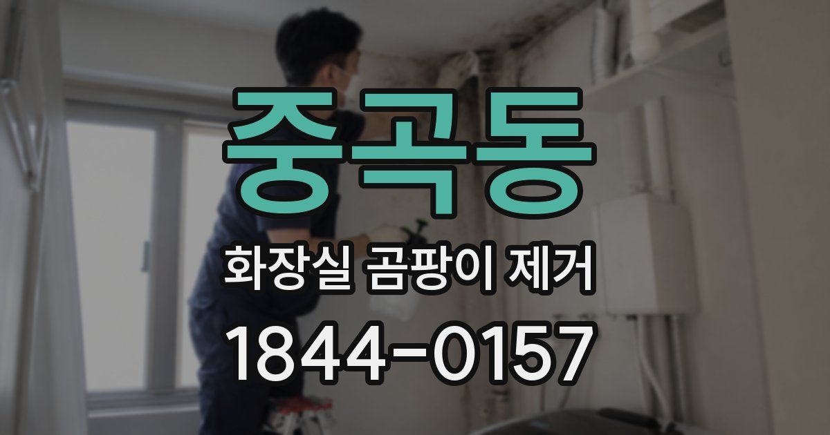 중곡동 화장실 곰팡이 제거