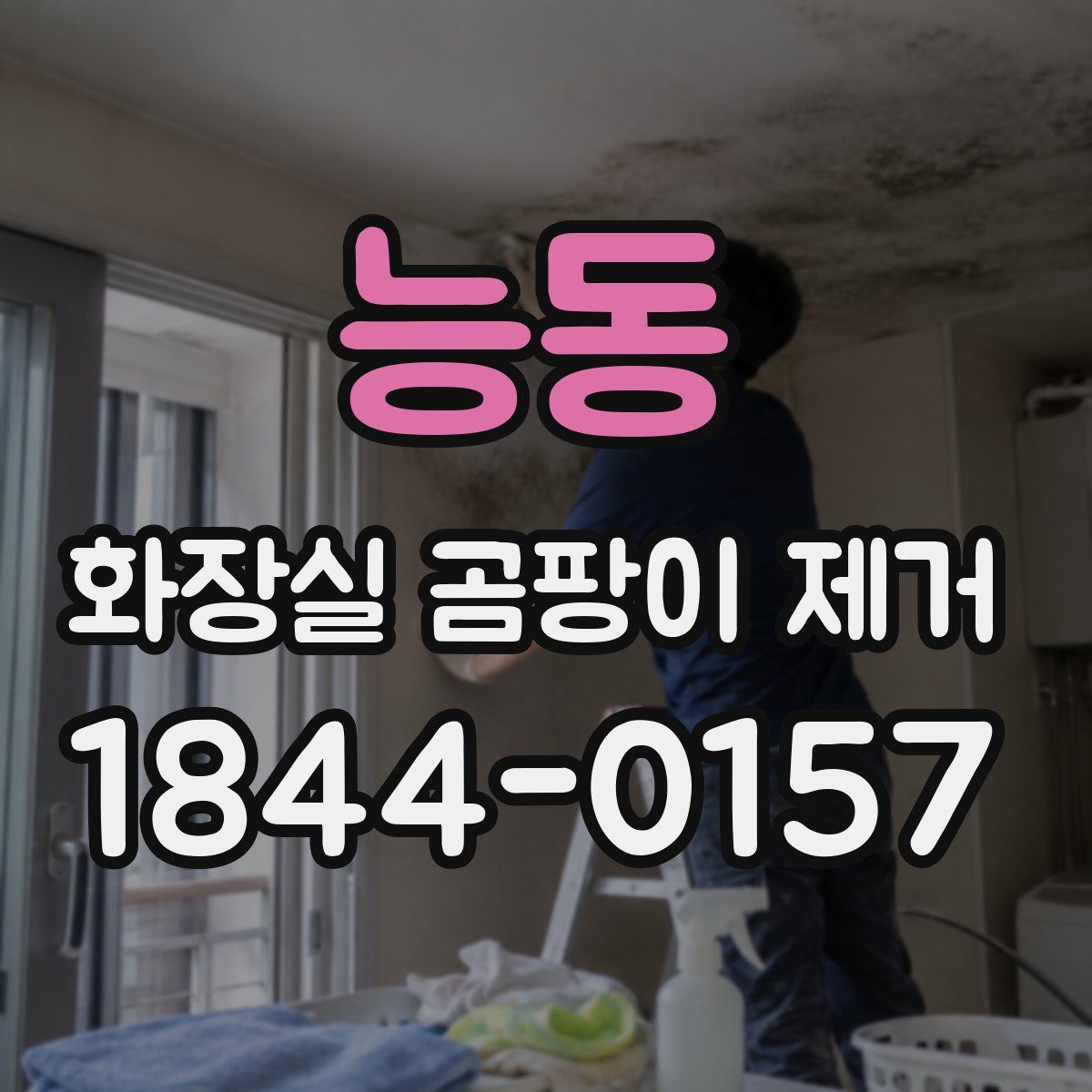 능동 화장실 곰팡이 제거