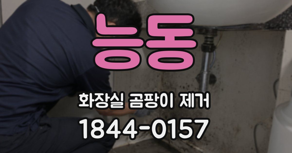 능동 화장실 곰팡이 제거