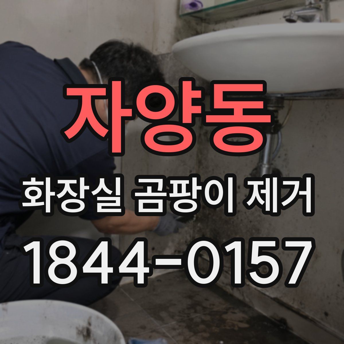 자양동 화장실 곰팡이 제거