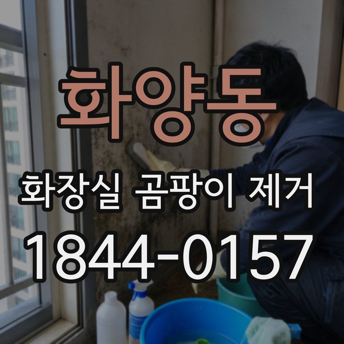 화양동 화장실 곰팡이 제거