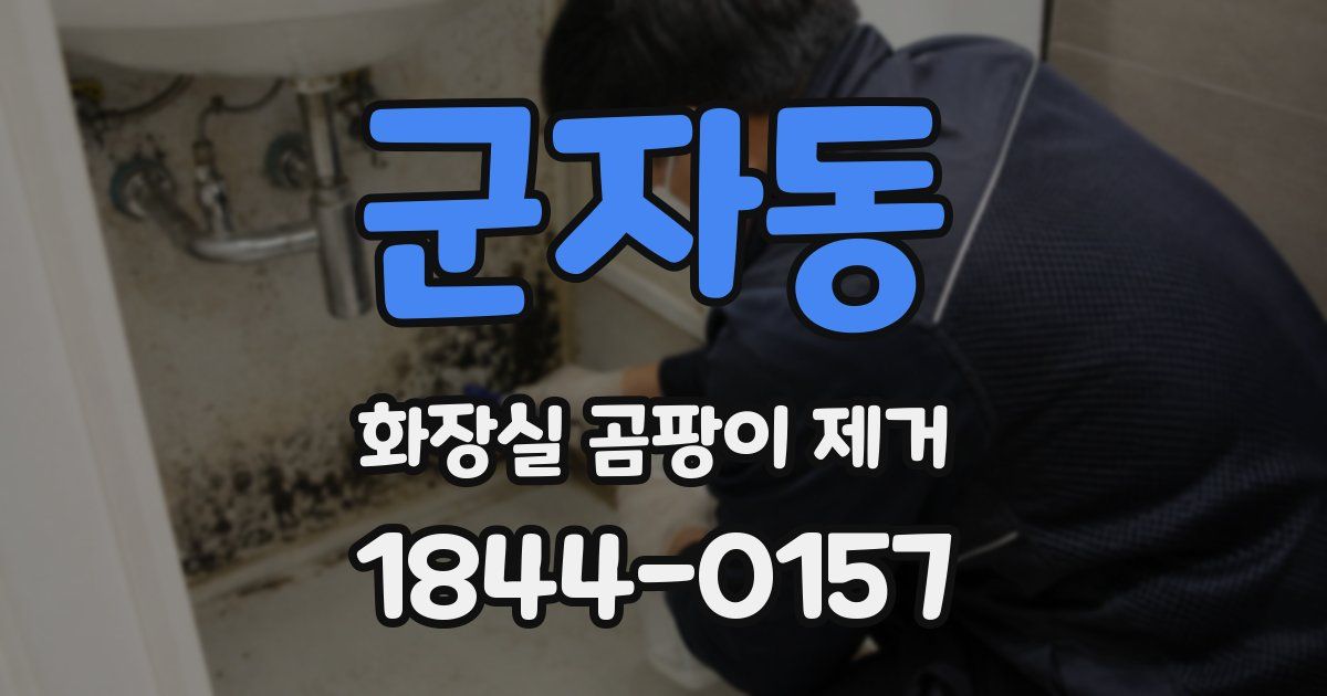 군자동 화장실 곰팡이 제거