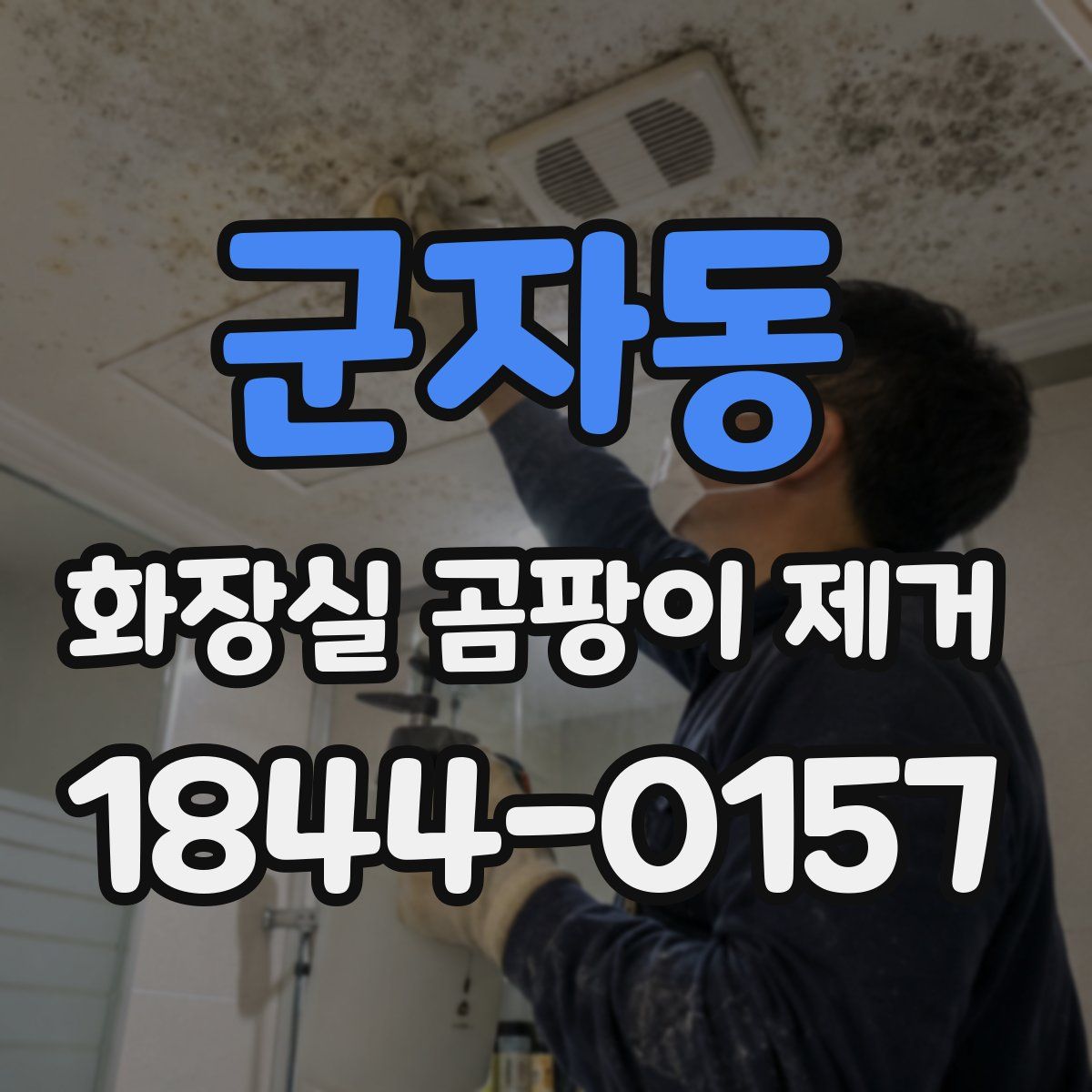 군자동 화장실 곰팡이 제거