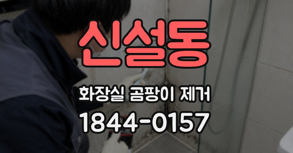 신설동 화장실 곰팡이 제거
