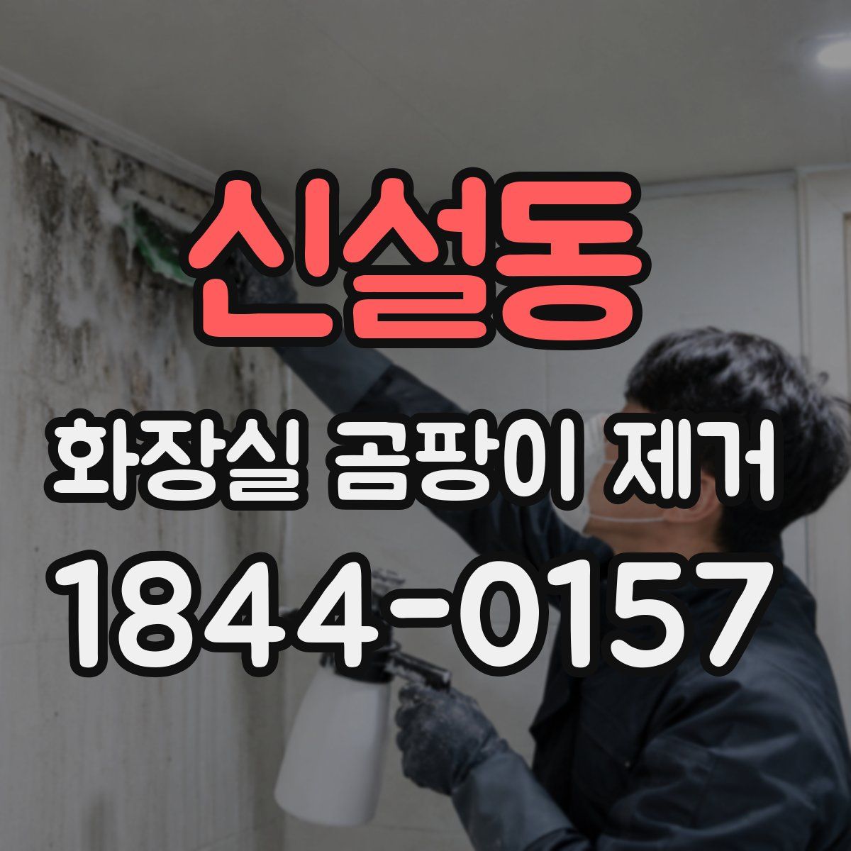 신설동 화장실 곰팡이 제거