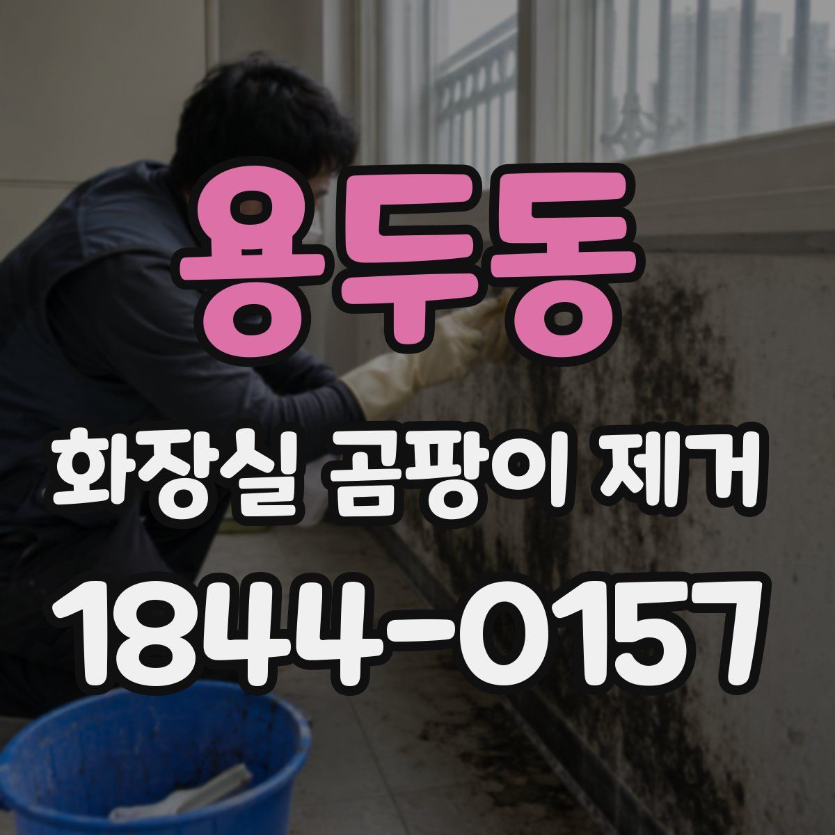 용두동 화장실 곰팡이 제거