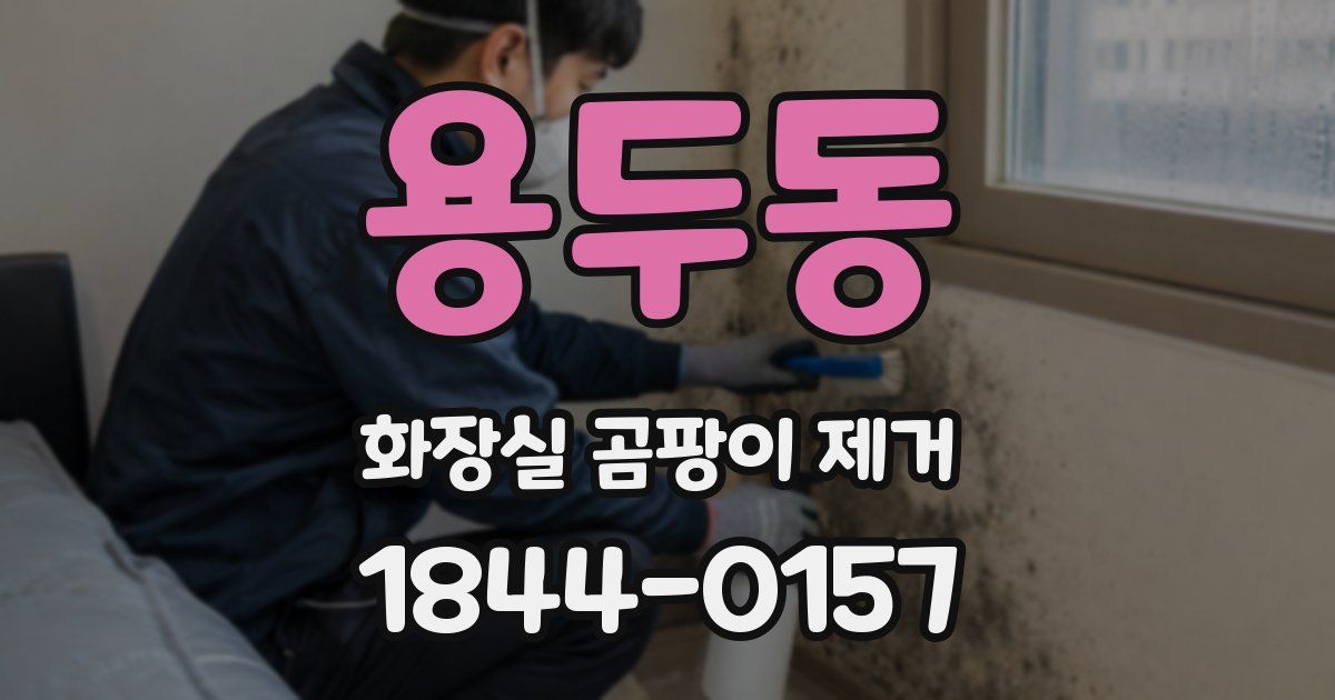 용두동 화장실 곰팡이 제거
