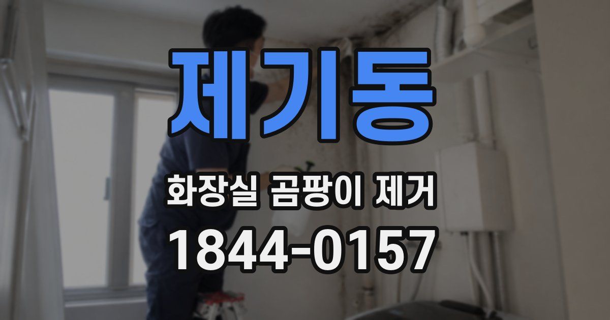 제기동 화장실 곰팡이 제거