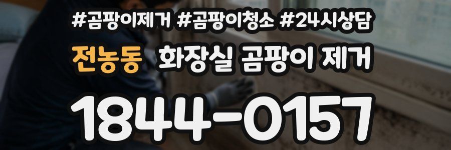 전농동 화장실 곰팡이 제거