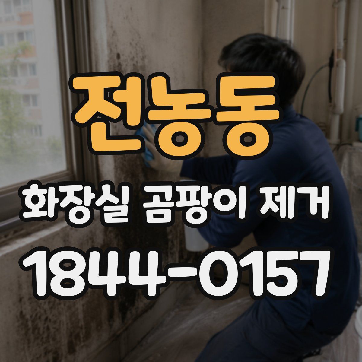 전농동 화장실 곰팡이 제거