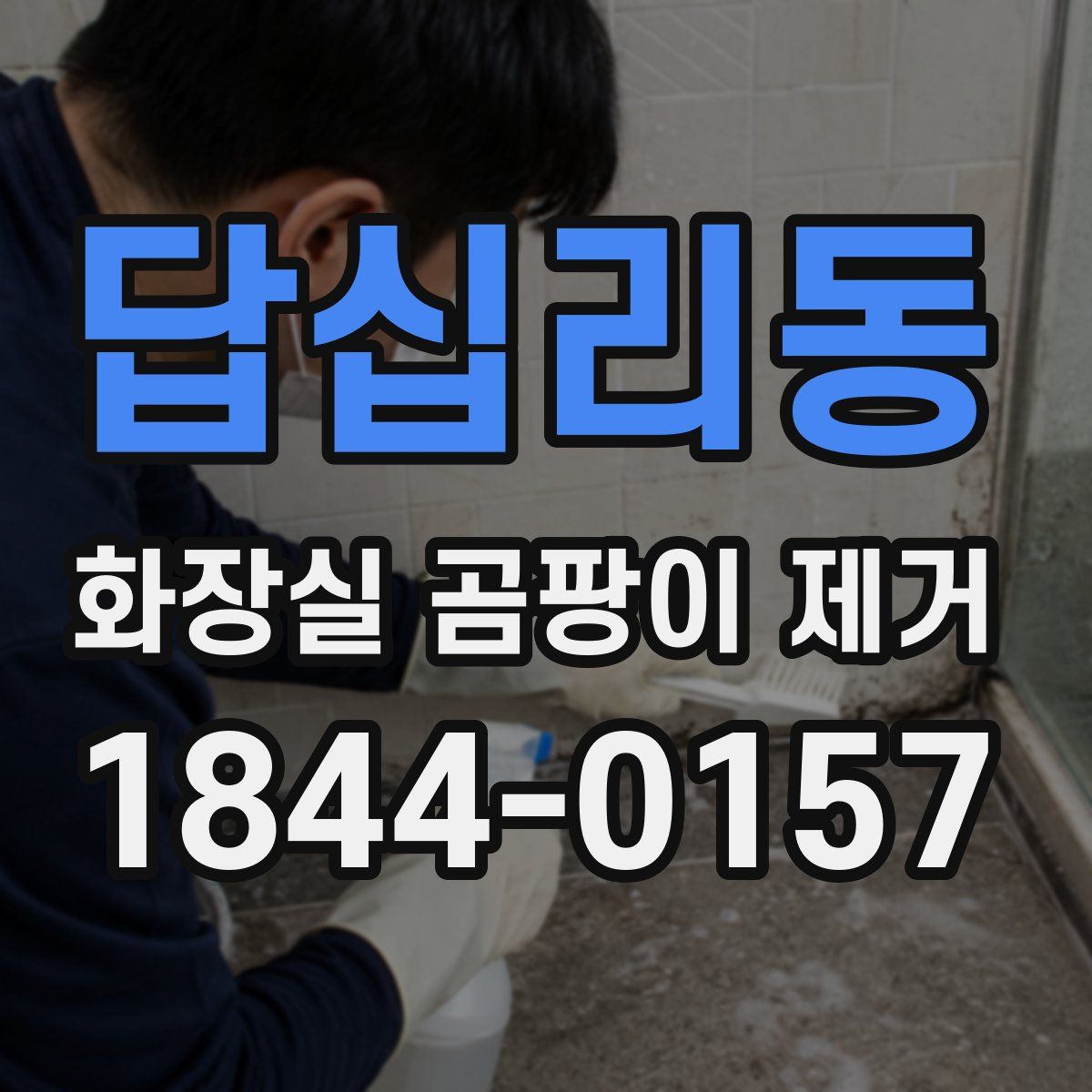 답십리동 화장실 곰팡이 제거