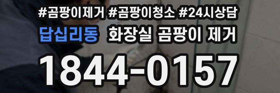 답십리동 화장실 곰팡이 제거
