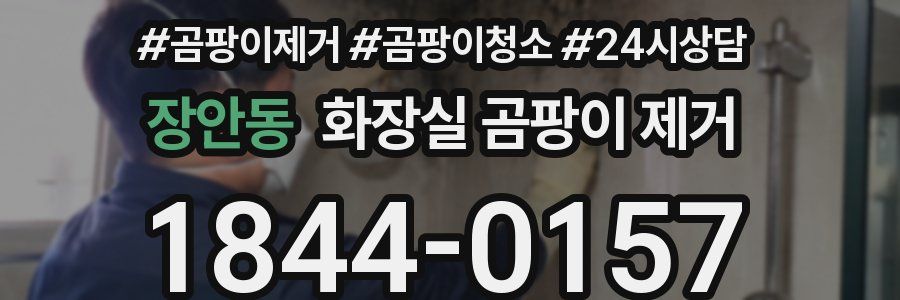 장안동 화장실 곰팡이 제거
