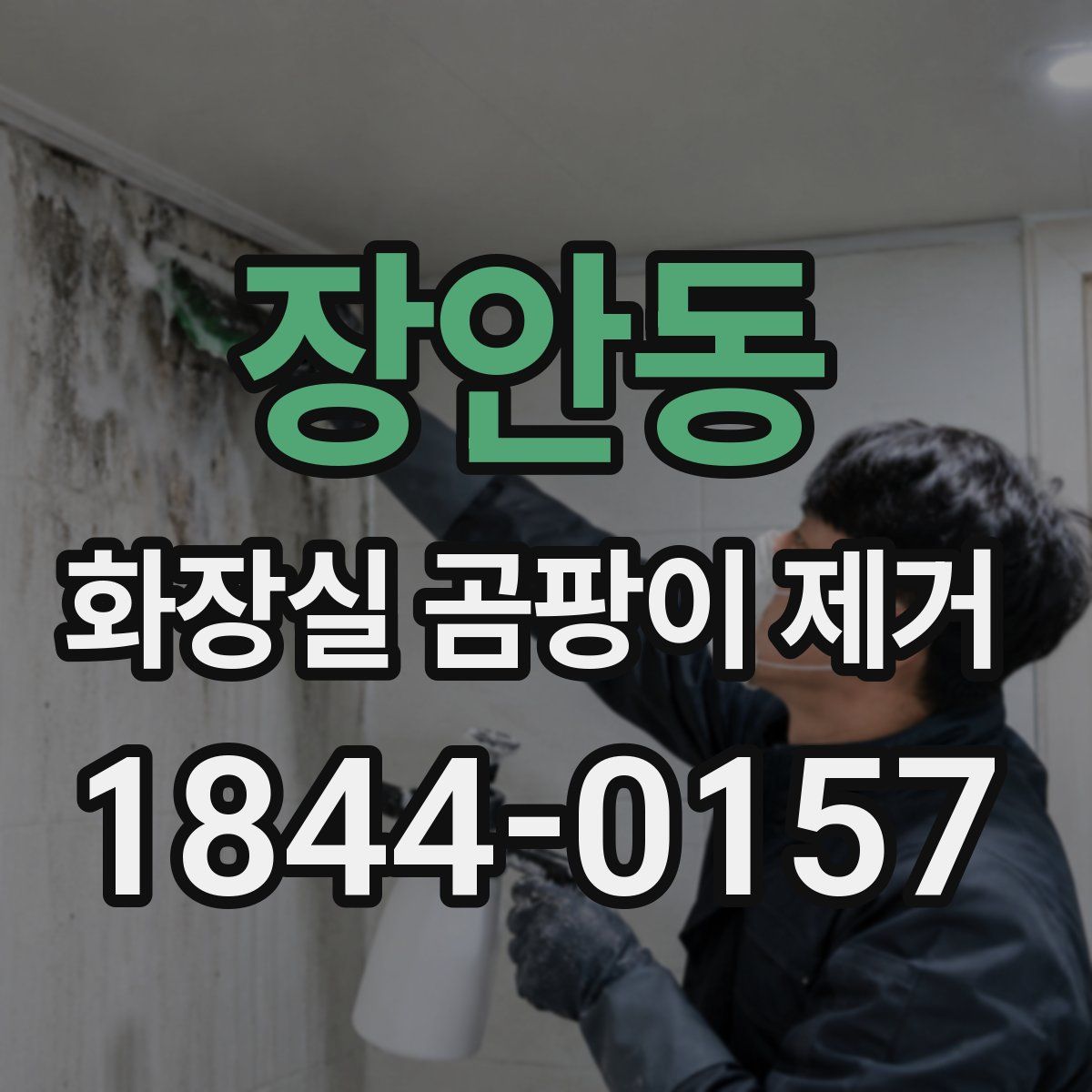 장안동 화장실 곰팡이 제거