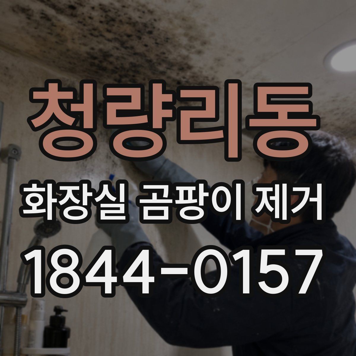청량리동 화장실 곰팡이 제거 천장과 벽면을 같이 보는 방법