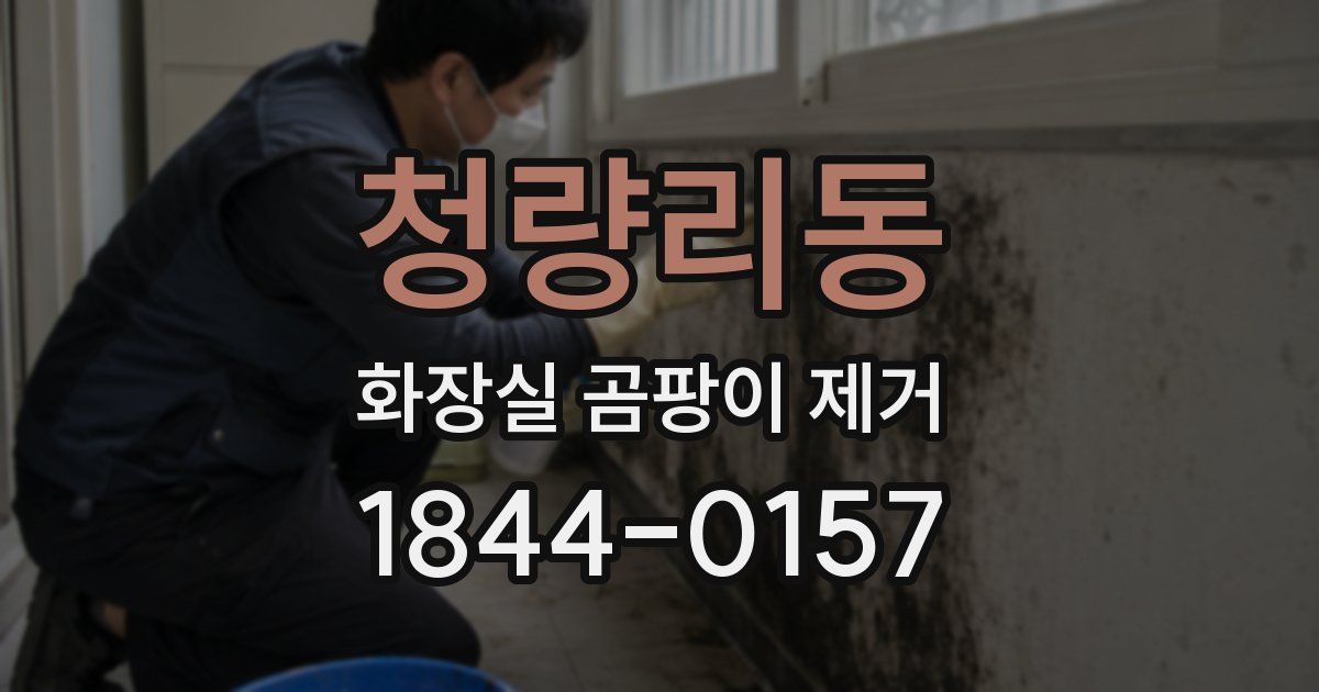 청량리동 화장실 곰팡이 제거