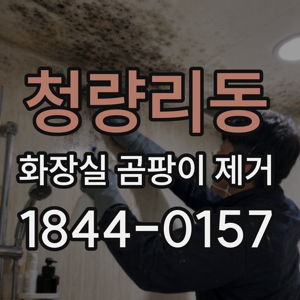 청량리동 화장실 곰팡이 제거