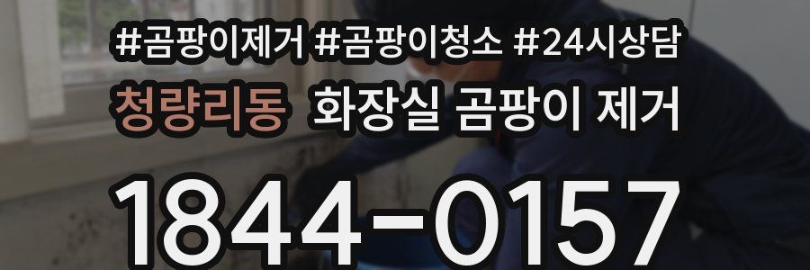청량리동 화장실 곰팡이 제거