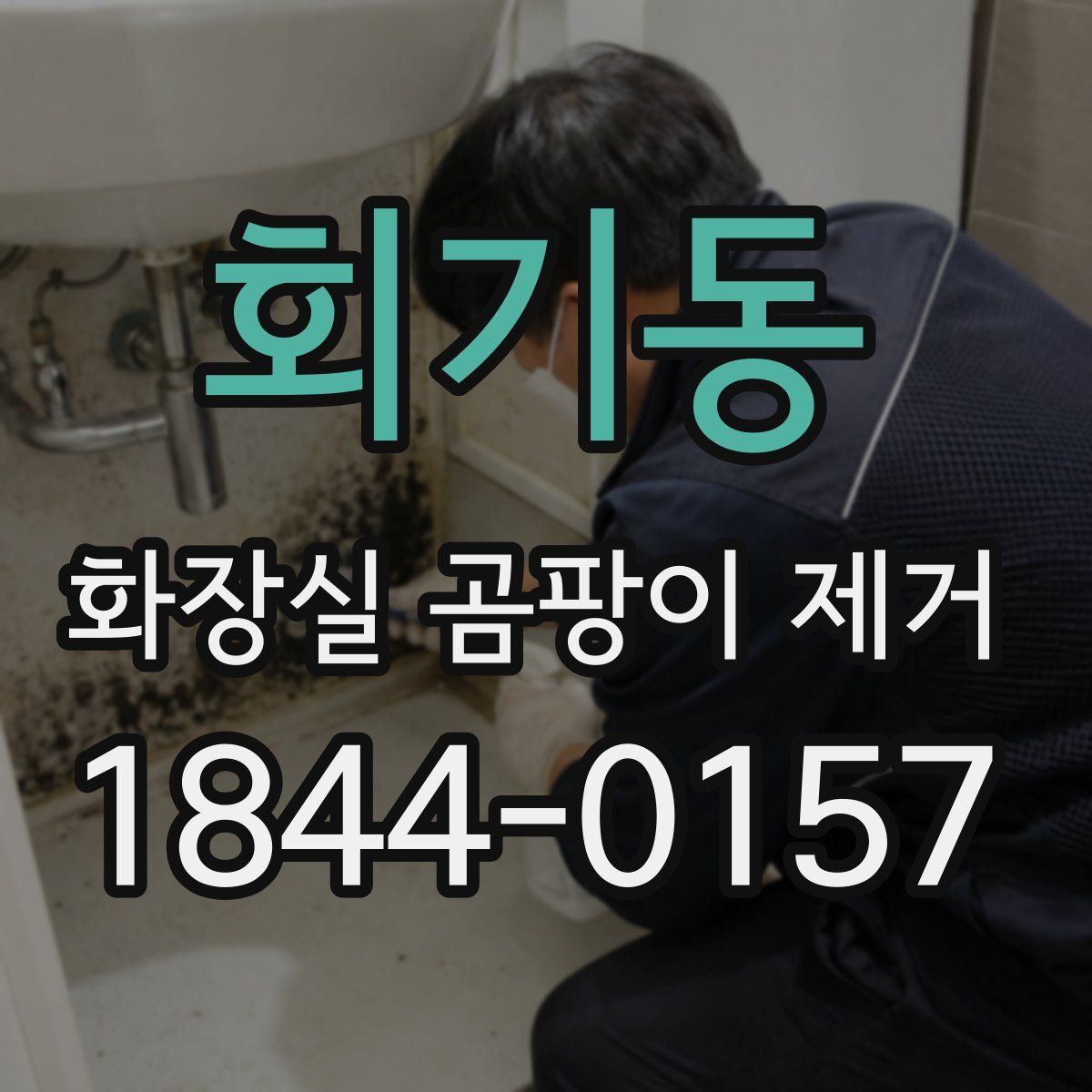 회기동 화장실 곰팡이 제거
