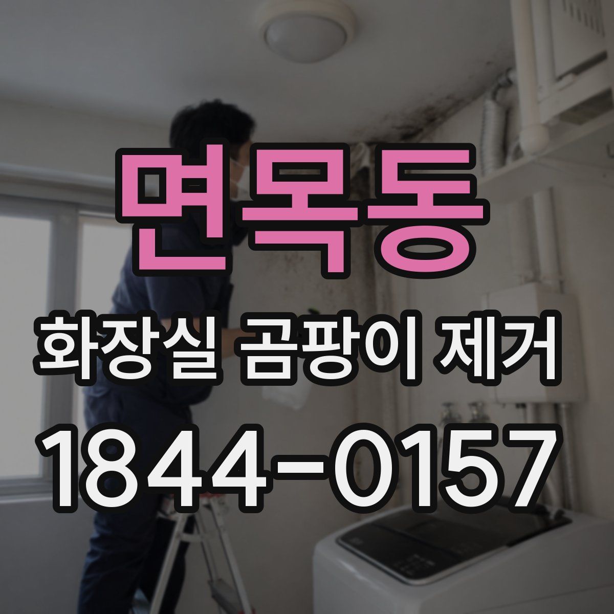 면목동 화장실 곰팡이 제거