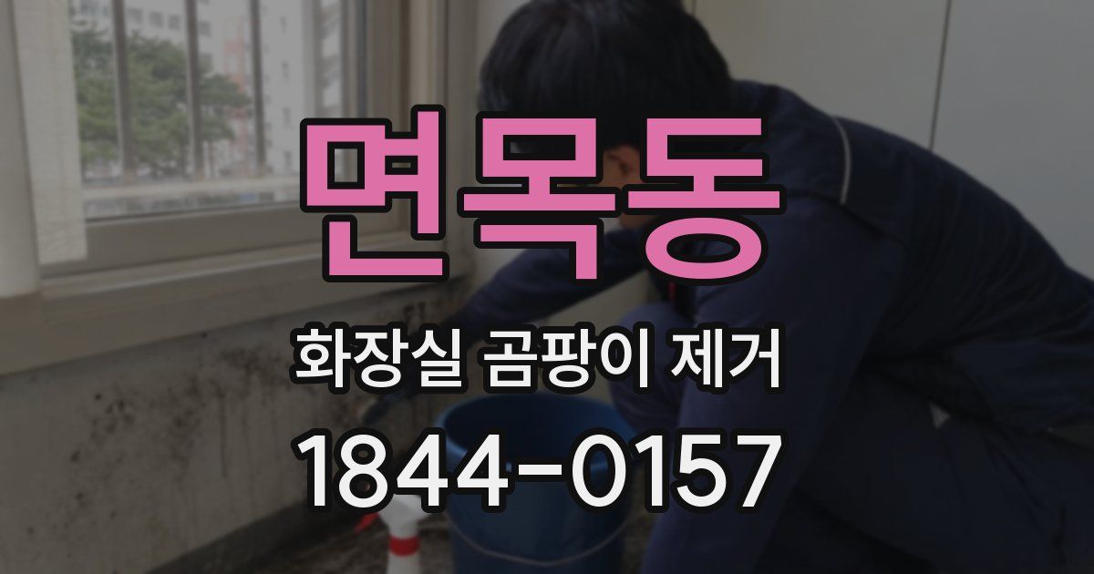 면목동 화장실 곰팡이 제거
