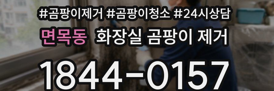 면목동 화장실 곰팡이 제거