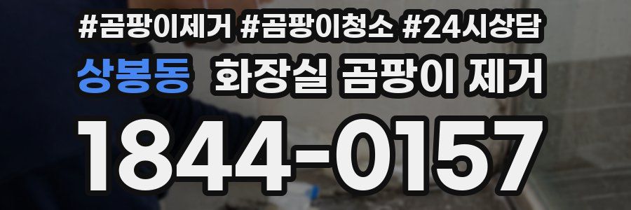 상봉동 화장실 곰팡이 제거