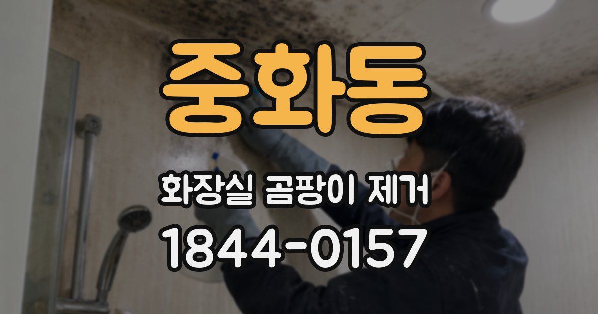 중화동 화장실 곰팡이 제거