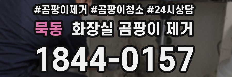 묵동 화장실 곰팡이 제거