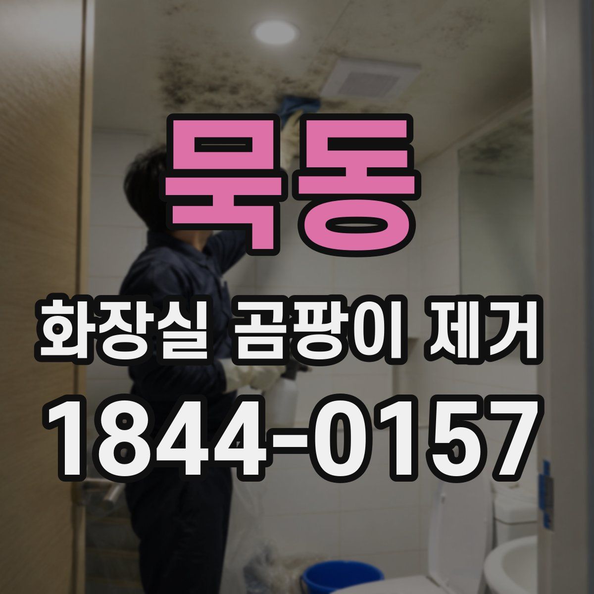 묵동 화장실 곰팡이 제거