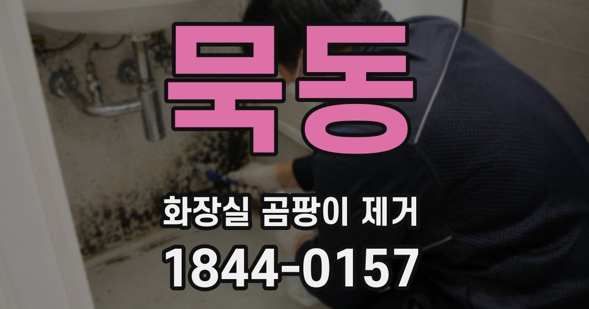 묵동 화장실 곰팡이 제거