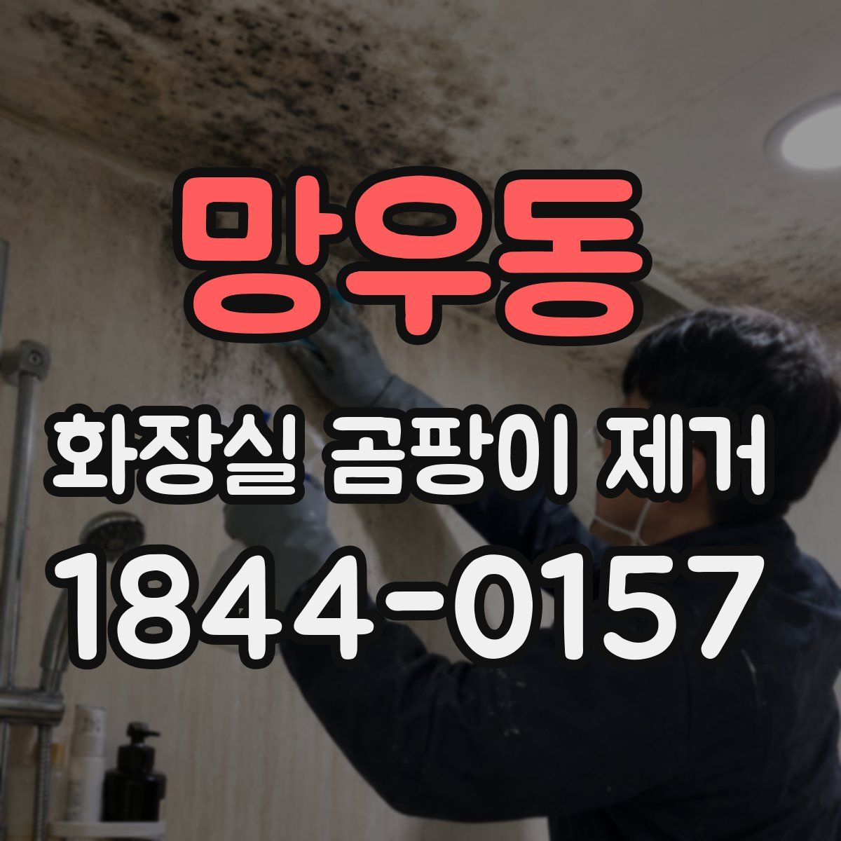 망우동 화장실 곰팡이 제거