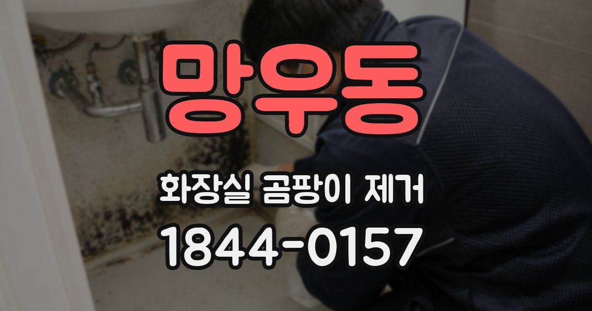 망우동 화장실 곰팡이 제거