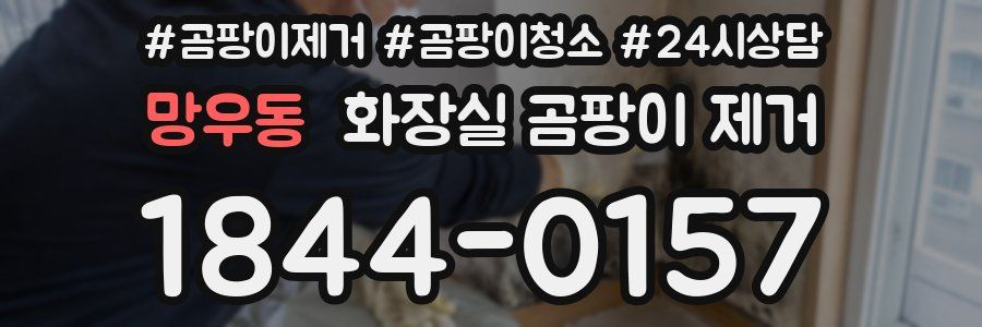 망우동 화장실 곰팡이 제거