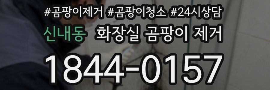 신내동 화장실 곰팡이 제거