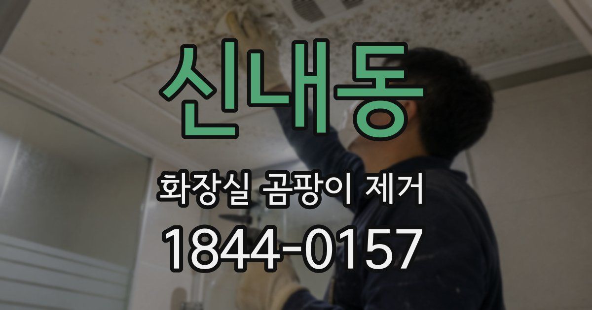 신내동 화장실 곰팡이 제거