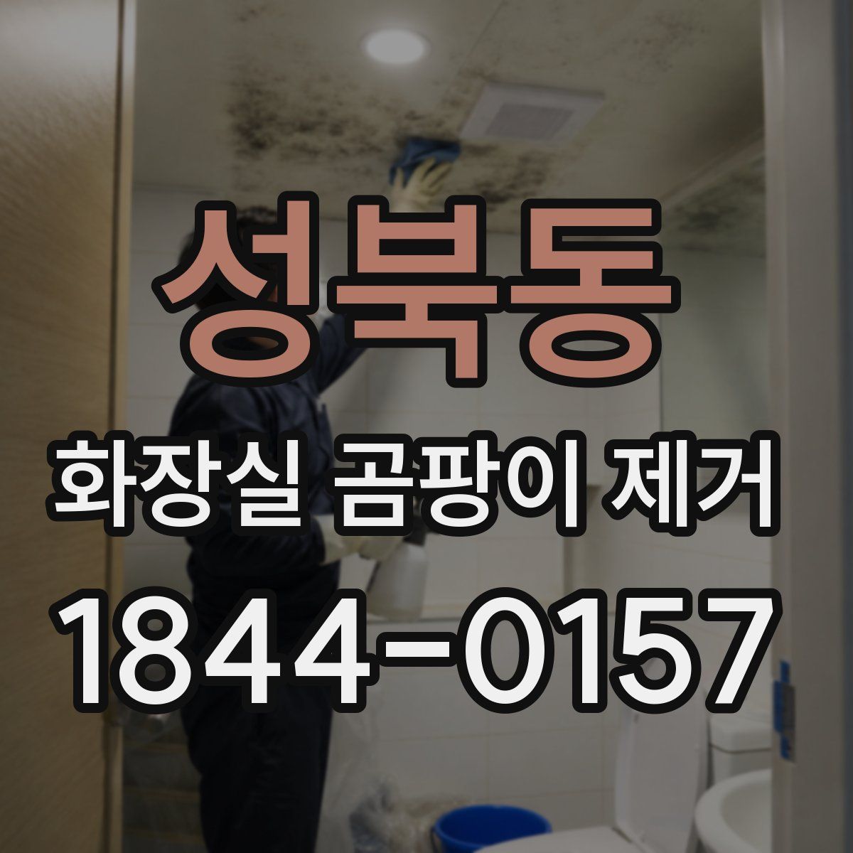 성북동 화장실 곰팡이 제거