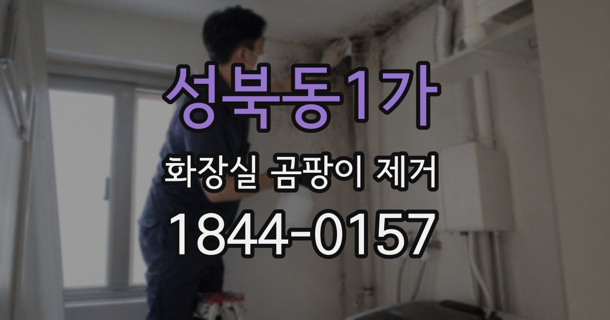 성북동1가 화장실 곰팡이 제거