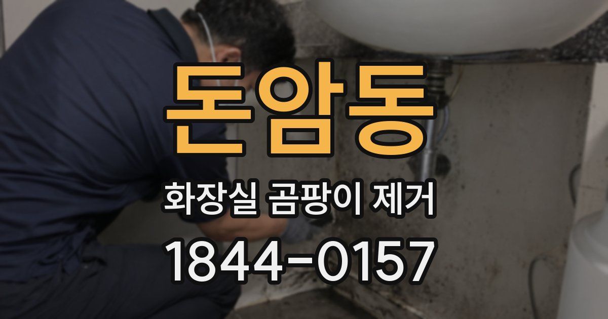 돈암동 화장실 곰팡이 제거