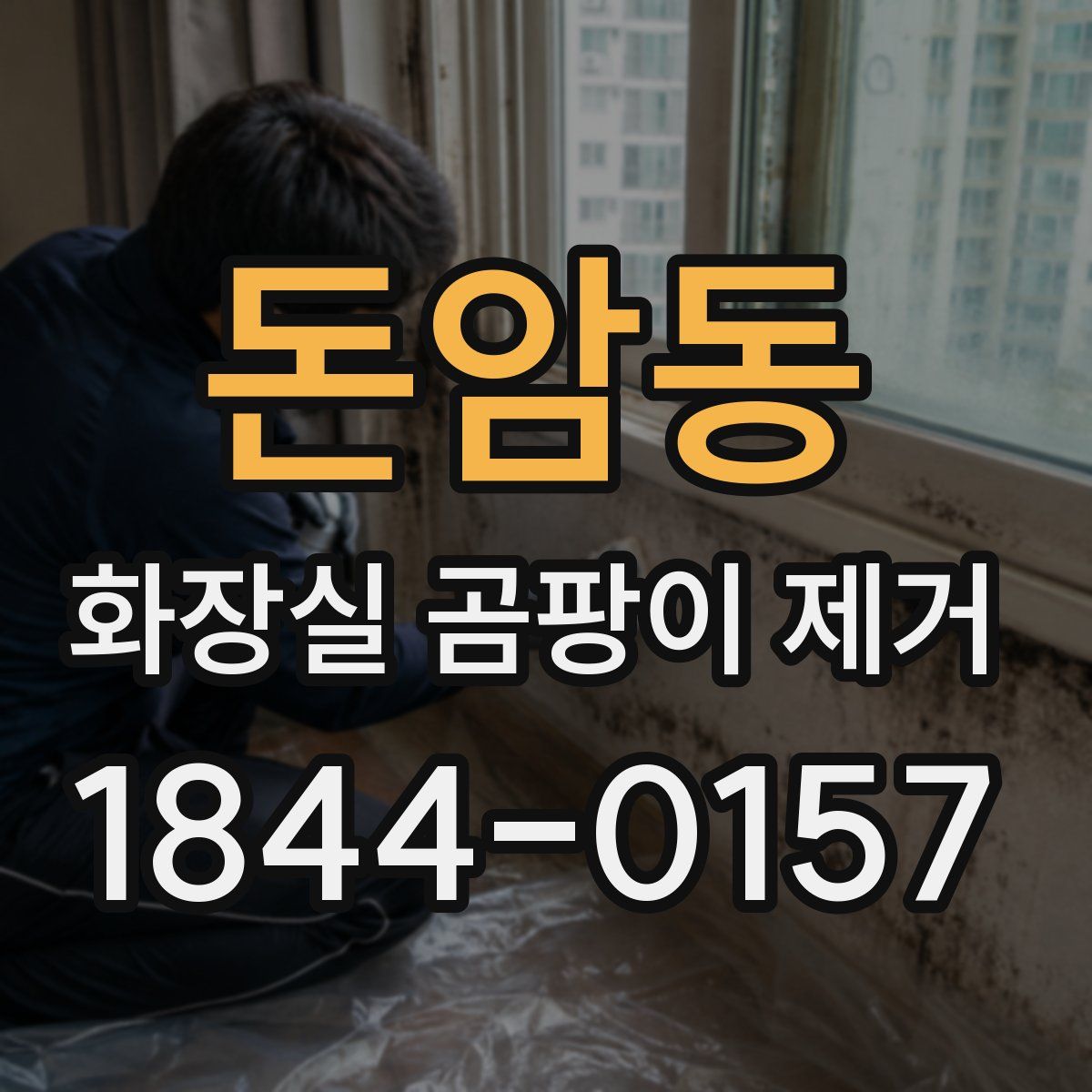 돈암동 화장실 곰팡이 제거