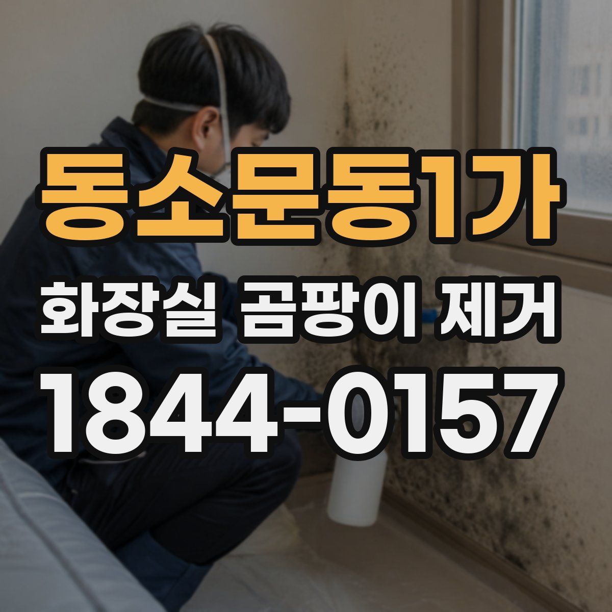 동소문동1가 화장실 곰팡이 제거