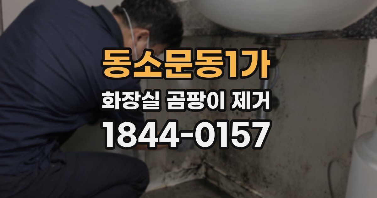 동소문동1가 화장실 곰팡이 제거
