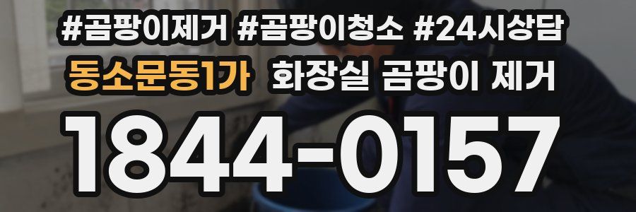 동소문동1가 화장실 곰팡이 제거