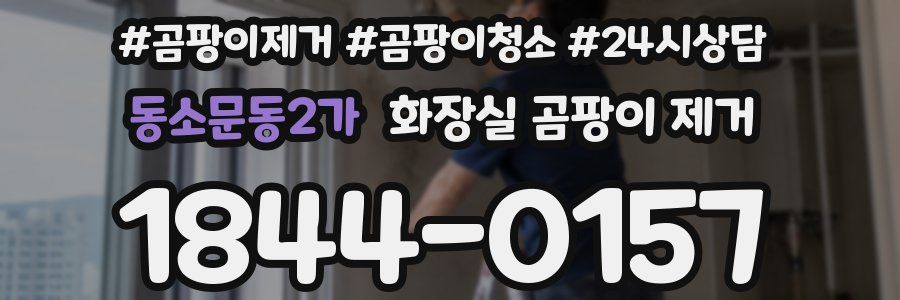 동소문동2가 화장실 곰팡이 제거