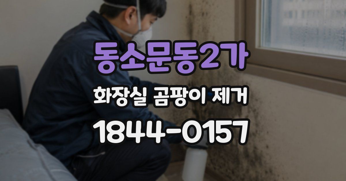 동소문동2가 화장실 곰팡이 제거